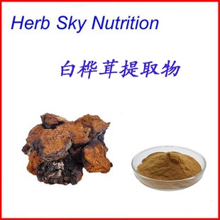 纯天然 白桦茸提取物 10:1 浓缩粉末 100克装 包邮