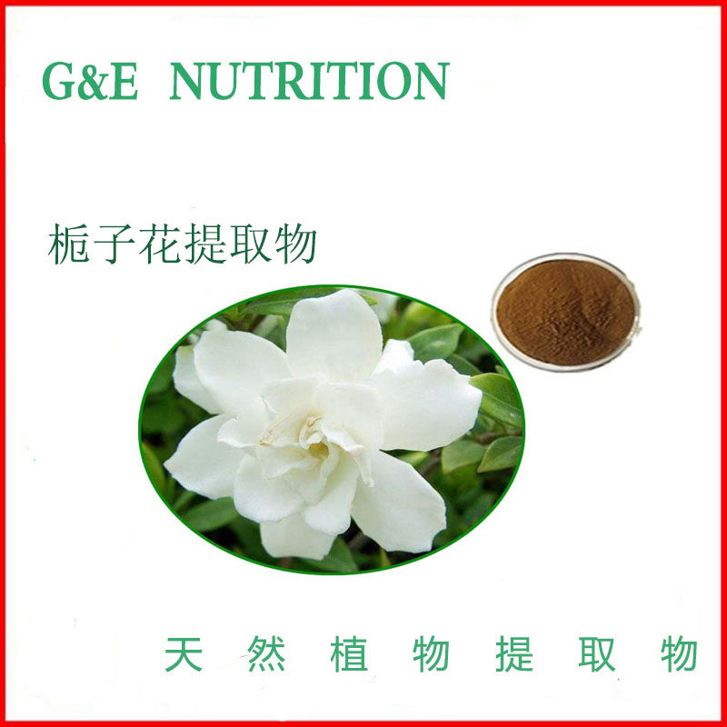 栀子花提取物粉10:1 栀子花粉 纯天然植物提取物 浓缩粉 100克/袋