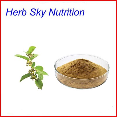 高含量 武靴藤酸25% 武靴藤 武靴叶提取物粉 100g/袋 质量保证