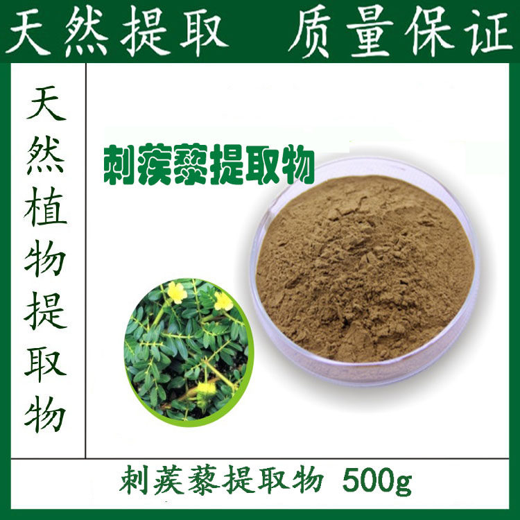 天然 刺蒺藜皂甙90% 刺蒺藜提取物粉 包邮 新品优惠 500g