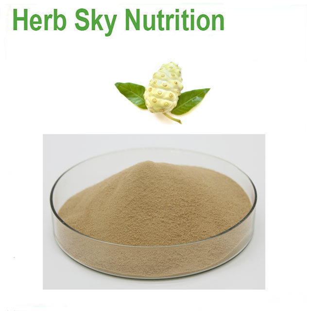 诺丽果粉100% 厂家直销 现货 包邮 500g