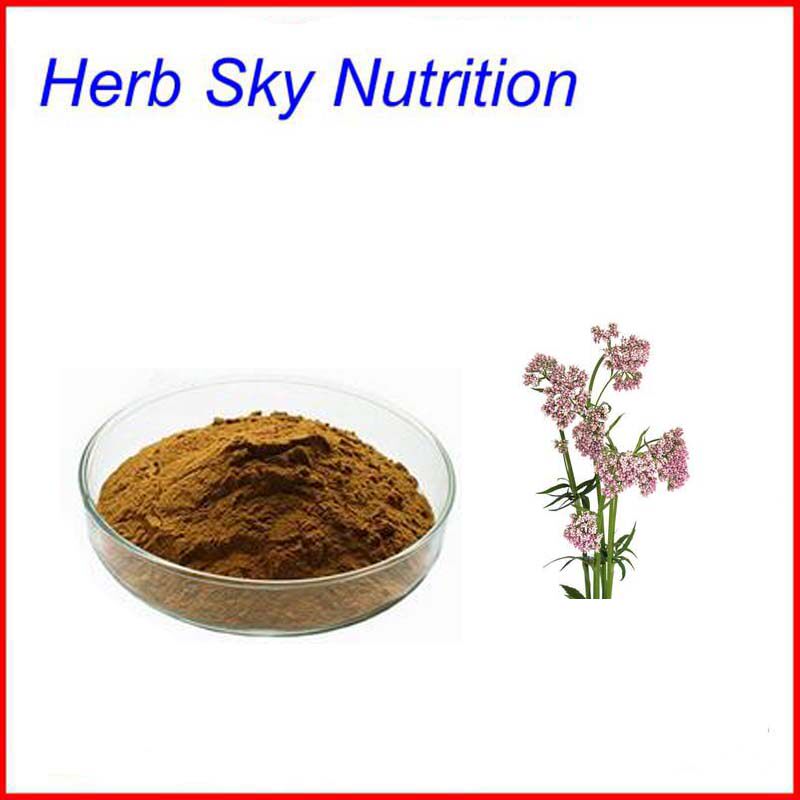10:1 缬草提取物 纯天然质量保证 100g 包邮