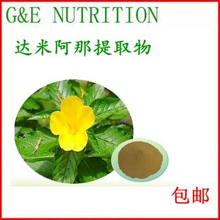 500g 达米阿那提取物粉末 10:1  达米阿那粉 正品包邮