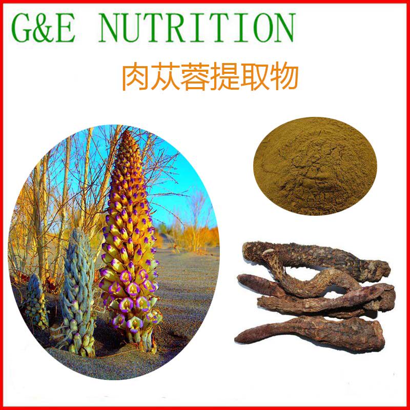 500g 肉苁蓉提取物10:1 厂家直销 肉苁蓉粉 量大优惠