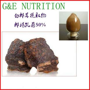 100g 白桦茸提取物粉桦褐孔菌50% 包邮