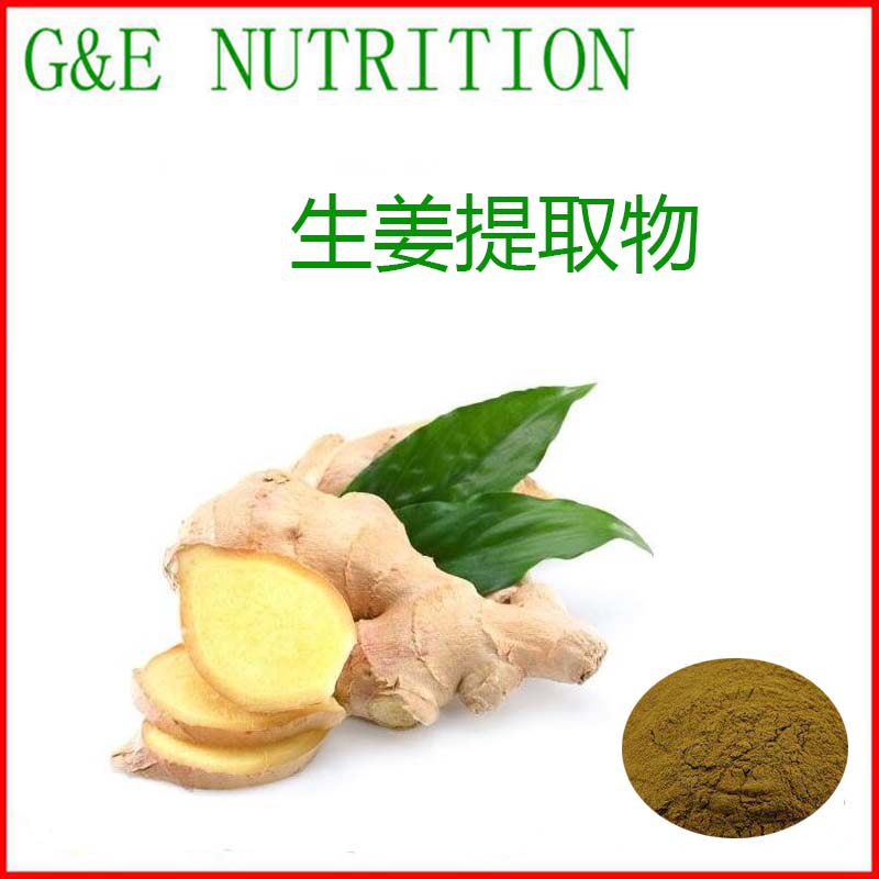 500g 生姜提取物 规格10:1 品质保障 包邮生姜粉 天然提取