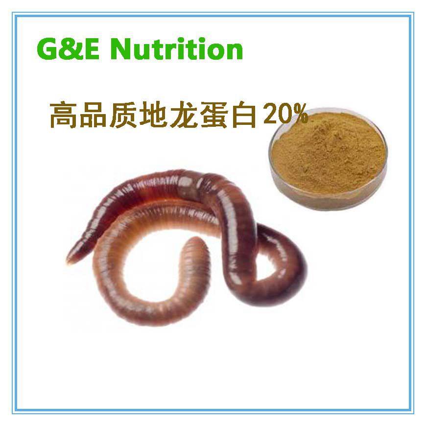 500g 地龙蛋白20% 优质地龙提取物 质量保证 厂家直销