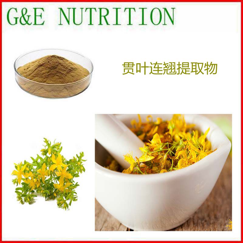 500g 纯天然贯叶金丝桃提取物 贯叶连翘 植物浓缩粉 10:1 包邮
