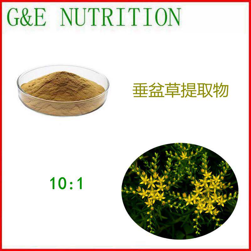 100g 纯天然 垂盆草提取物 植物浓缩粉 10:1 包邮 量大优惠