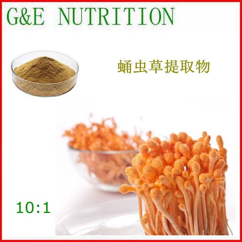500g 纯天然 蛹虫草提取物 浓缩粉末 蛹虫草多糖 包邮 10:1