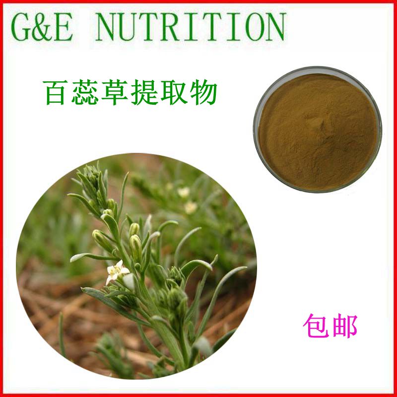 500g 百蕊草提取物粉10:1 天然植物提取物 量大优惠 包邮
