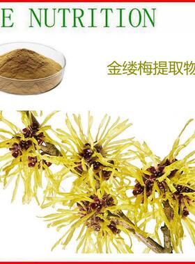 500g 纯天然 金缕梅提取物 10:1 植物浓缩粉 量大优惠 包邮