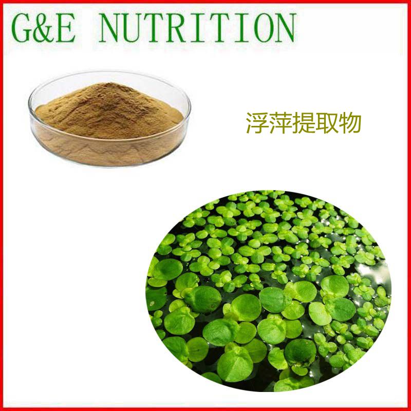 1000g 纯天然 浮萍提取物 浮萍粉 10:1 包邮 量大优惠
