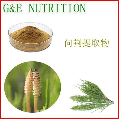 500g 纯天然 问荆提取物 浓缩粉 10:1 厂家直销 优惠包邮