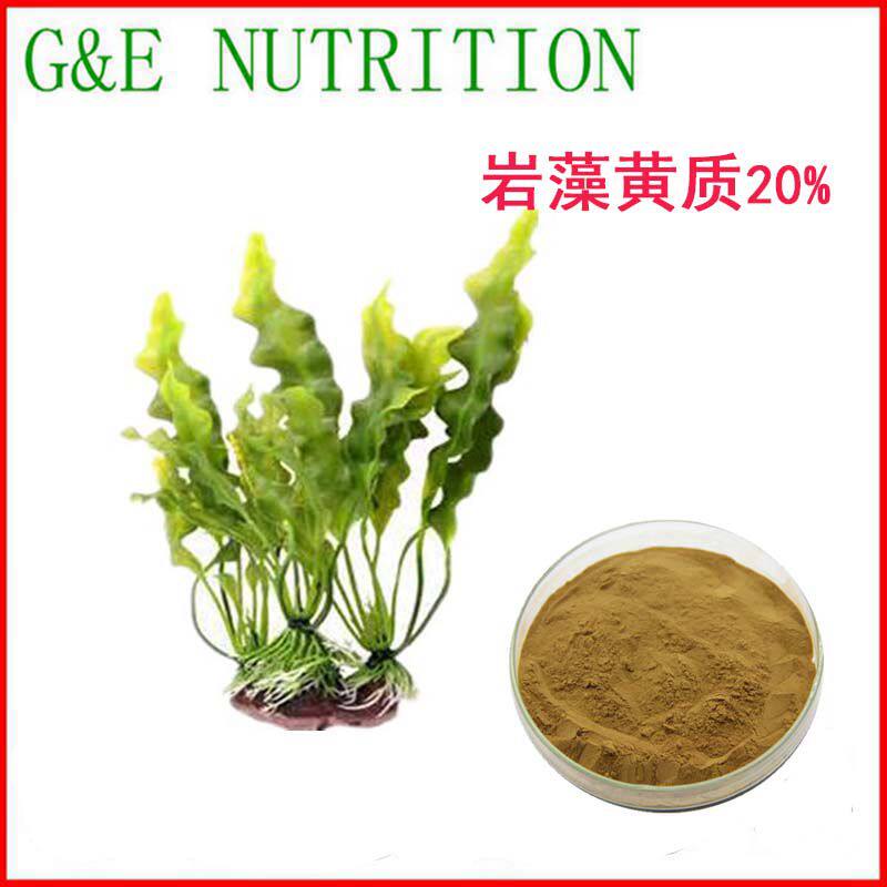500g 纯天然 岩藻黄质20% 天然海藻提取物粉末