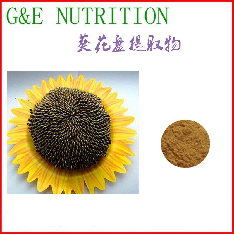 500g 天然葵花盘提取物 浓缩粉10:1 包邮
