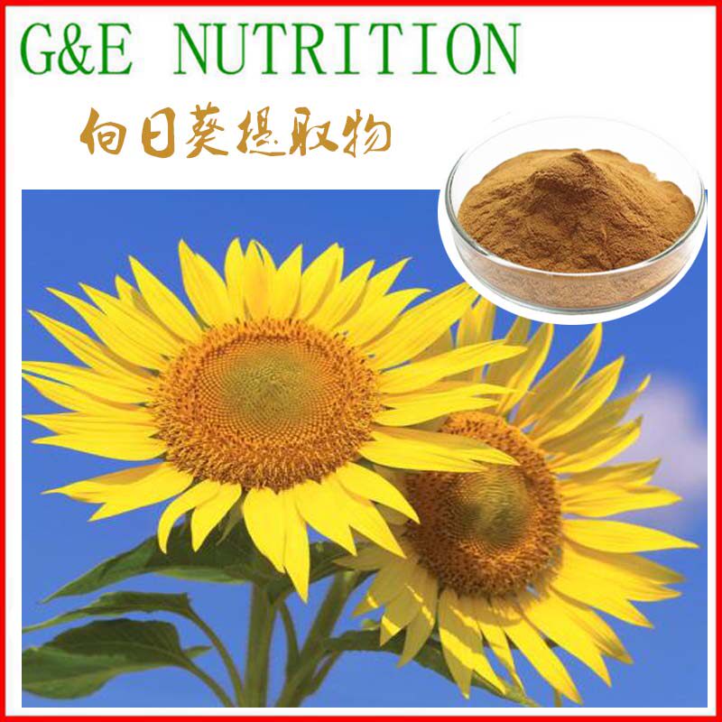 500g 向日葵籽提取物粉10:1 葵花籽提取物  葵花籽浓缩粉 包邮