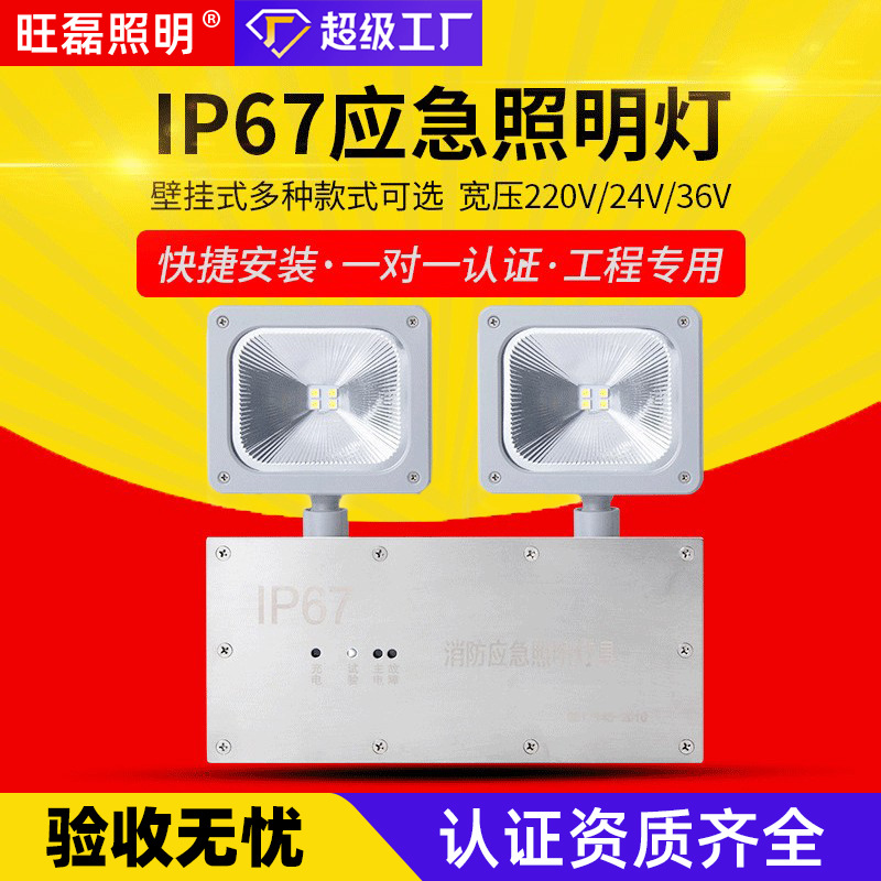 IP67防水应急照明灯 led不锈钢隧道安全出口双头标志灯冷库应急灯