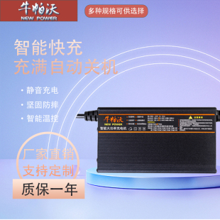 适配磷酸铁锂电池12V24V36V48V充电器大功率智能快充防反接充电机