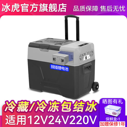 冰虎栏杆车载冰箱车家两用12V24V
