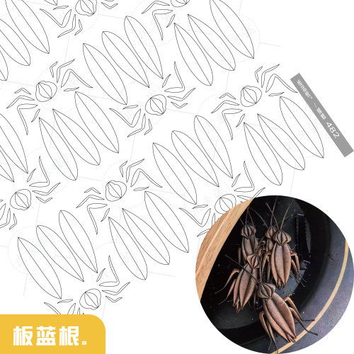 小米粥缠花板蓝根原创蟑螂图纸纸模羽毛卡纸水仙发簪发饰材料
