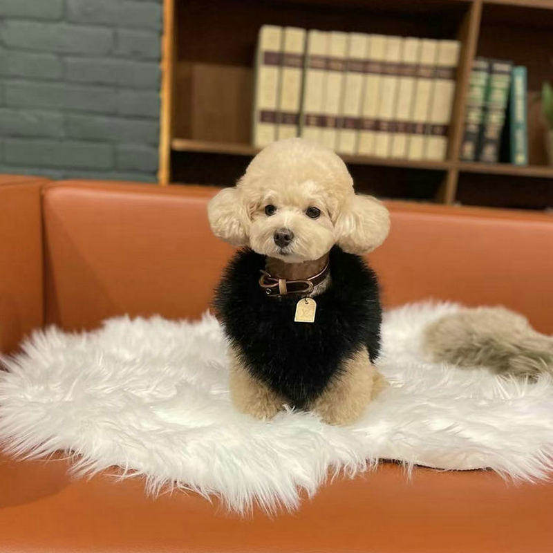 狗狗猫咪皮草牵引背心