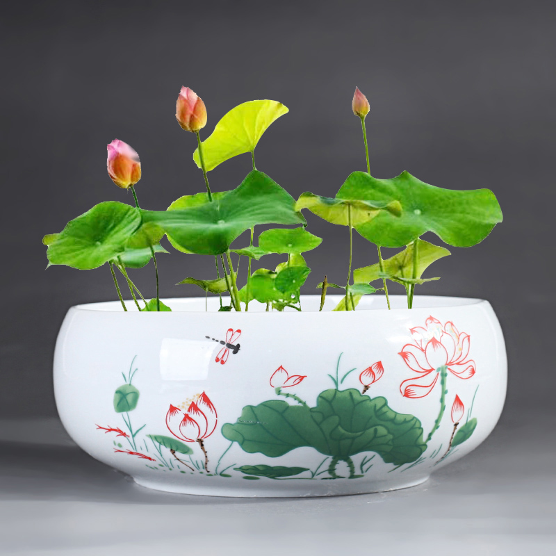 小鱼缸无孔花盆水仙盆碗莲花盆