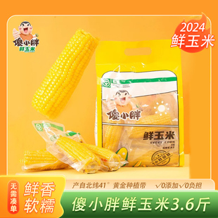 傻小胖甜糯玉米1.8kg内蒙古新鲜即食真空包装东北黄苞米粗粮早餐