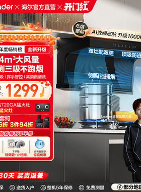 [爆款升级]海尔智家统帅抽油烟机家用厨房大吸力顶侧双吸92DPro