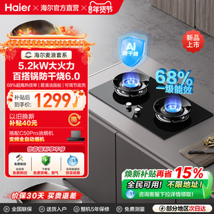 海尔麦浪QGBE2天然气液化气煤气灶家用厨房防干烧双灶猛火燃气灶