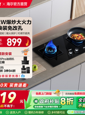 海尔Q2BE7猛火定时嵌入台式天燃气煤气灶双灶家用炉灶具官方旗舰