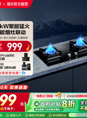 海尔燃气灶煤气灶家用双灶天然气灶台厨房家用烟灶联动灶具Q2BE58