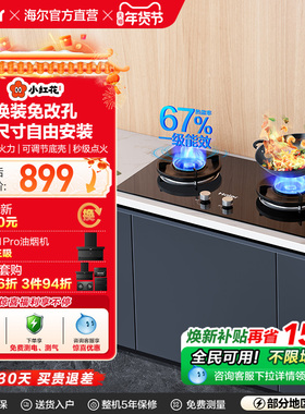 海尔小红花猛火燃气灶煤气灶大火力家用双灶天然气嵌入式Q2BEA