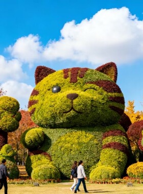卡通龙猫仿真绿植网红打卡摆件
