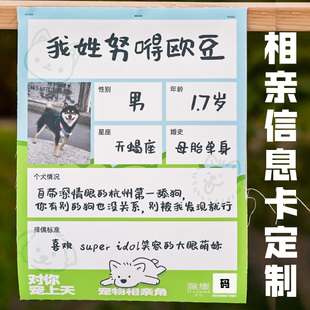 宠物相亲信息卡定制萌宠交友介绍卡片免费设计猫狗信息记录卡印刷