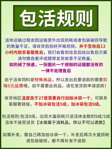 爬宠食物蟋蟀活体白蟋蟀蛐蛐蜥蜴守宫鬃狮蜘蛛蝎子粮食活食樱桃红