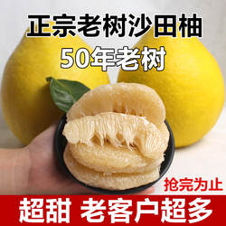 沙田柚正宗广西阳朔沙田柚纯甜白肉金柚心蜜柚小甜柚子水果批发价