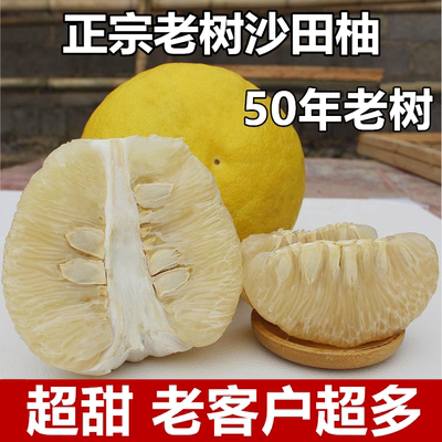 正宗广西老树沙田柚超甜