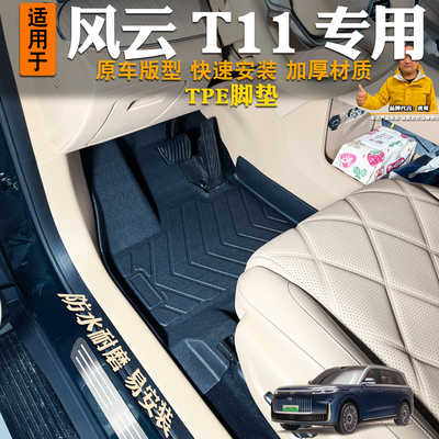 奇瑞风云T11脚垫全包围TPE