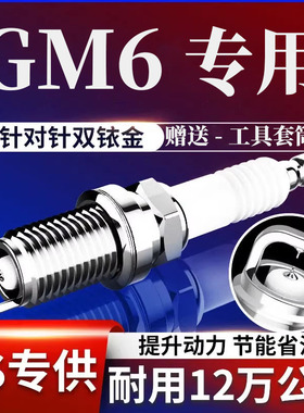 广汽传祺M6火花塞GM6双铱金1.5T专用原厂原装19款20升级21传奇22
