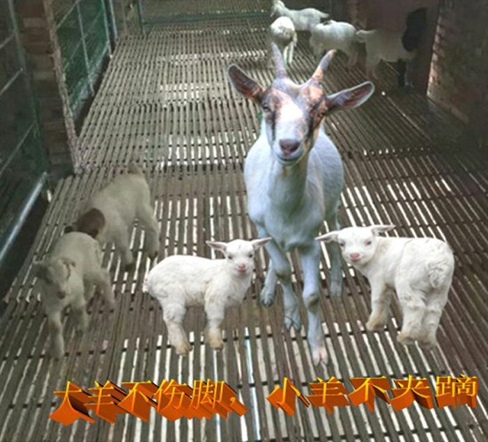 羊床漏粪板羊床配件羊床养殖设备养羊用竹羊床羊舍羊床竹鸡鸭设备