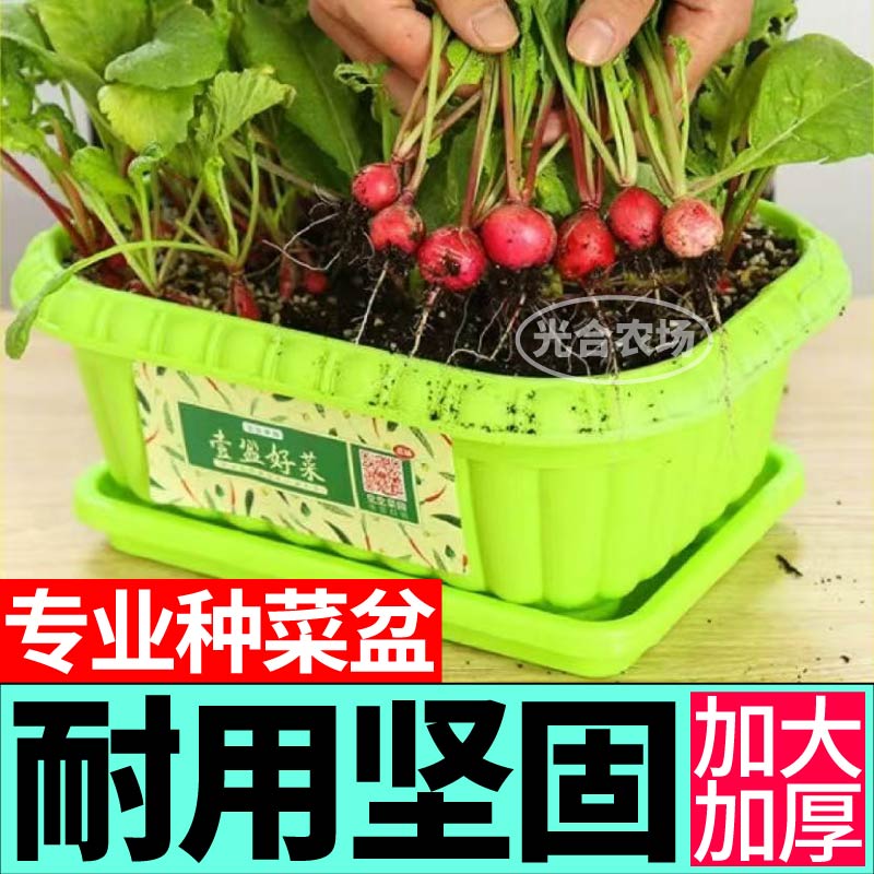 家用专业种菜盆土培盆环保材质坚固耐用十年带托盘阳台盆栽蔬菜盆