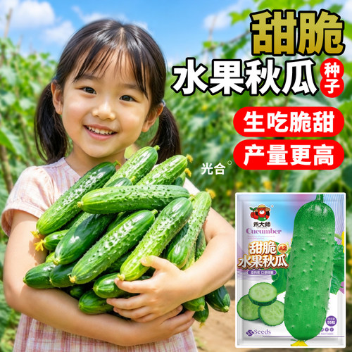 生吃脆甜水果秋瓜种子易管理绿芯满地爬黄瓜种籽庭院盆栽地栽