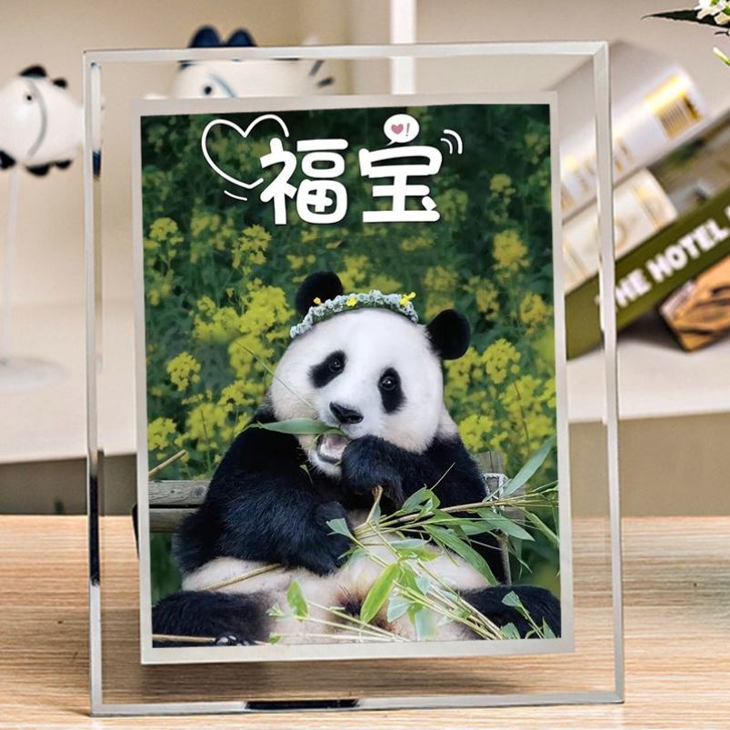 大熊猫福宝相框图片定制周边动漫公仔礼物摆台
