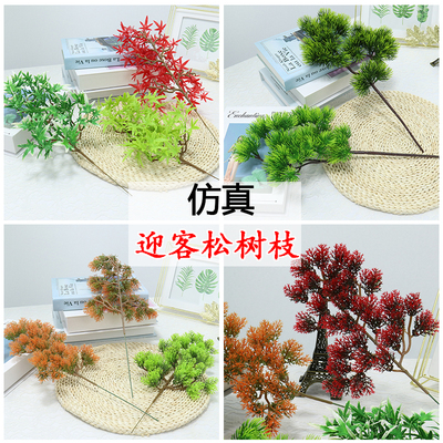 塑料迎客松盆景崖柏花卉植物假树