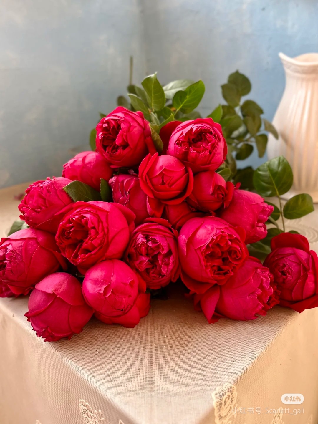 一加仑扦插红龙,鲜花速递/花卉仿真/绿植园艺,月季/蔷薇/玫瑰,淘宝优惠券,粉丝福利购,淘宝优惠卷