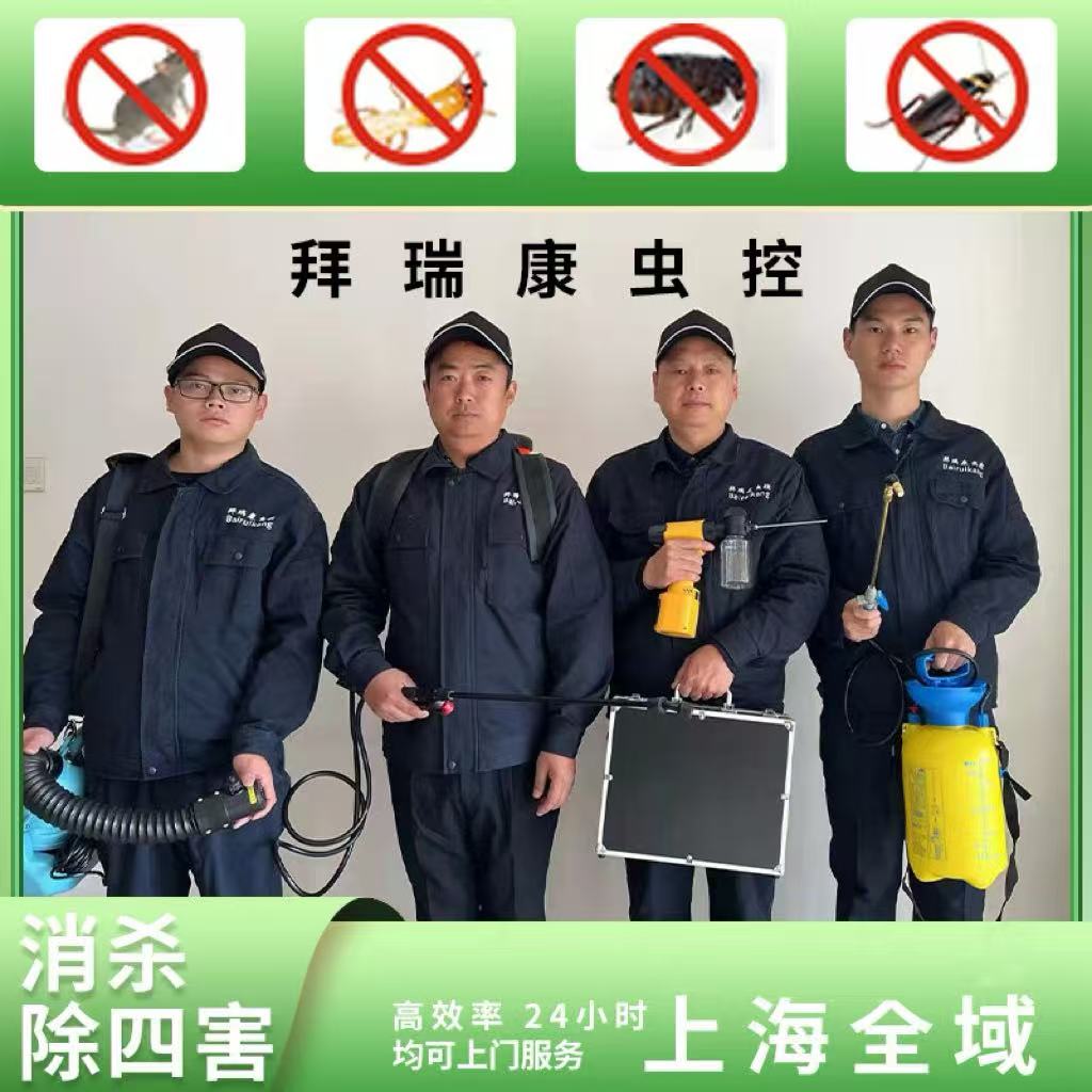 上海除虫服务杀虫子除蟑螂灭白蚁