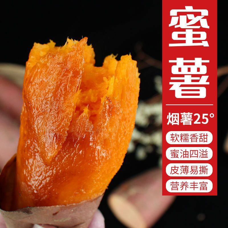 流油蜜薯红心蜜薯山东红薯