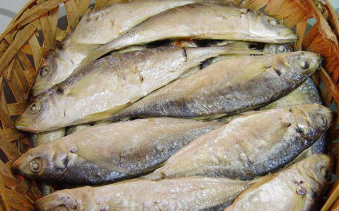 广东即食白粥500g巴浪鱼