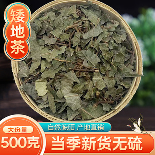 中药材野生矮地茶 地茶 紫金牛 平地木 500克原色干净无杂质包邮